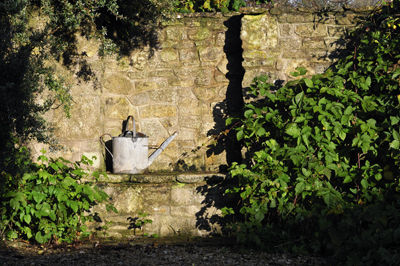 At Boords Farm Batcombe (2398)